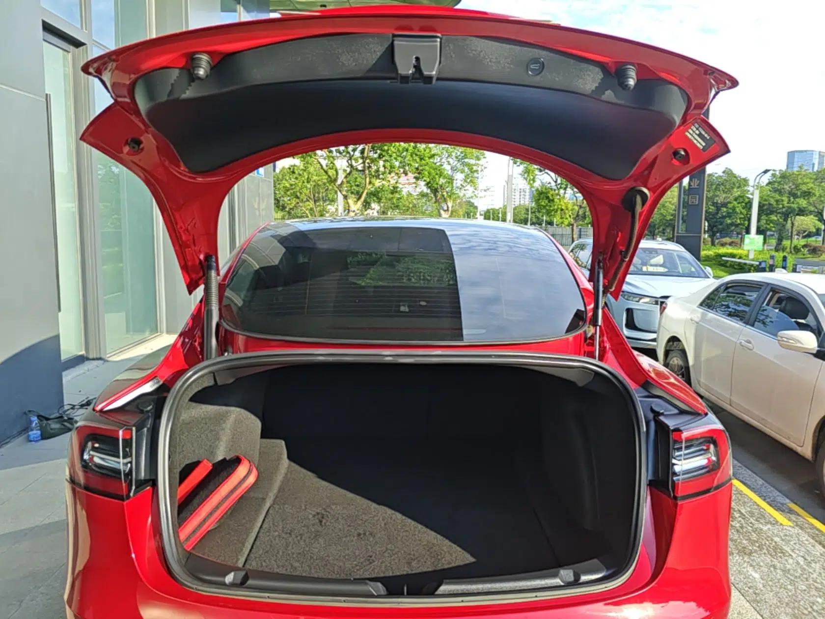 Tesla Model 3 2021 Standard Range Rear-Drive Upgraded Version — миниатюра 22