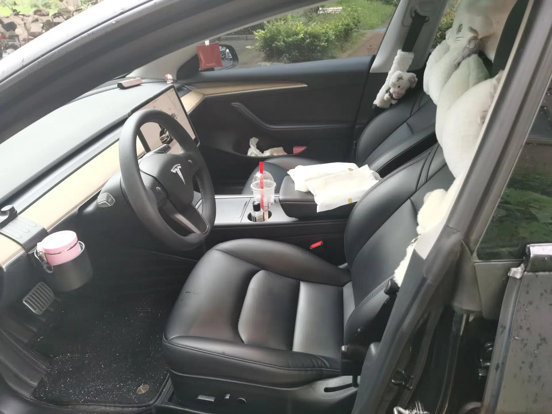 Tesla Model 3 2022 Rear-Wheel-Drive Version — миниатюра 14