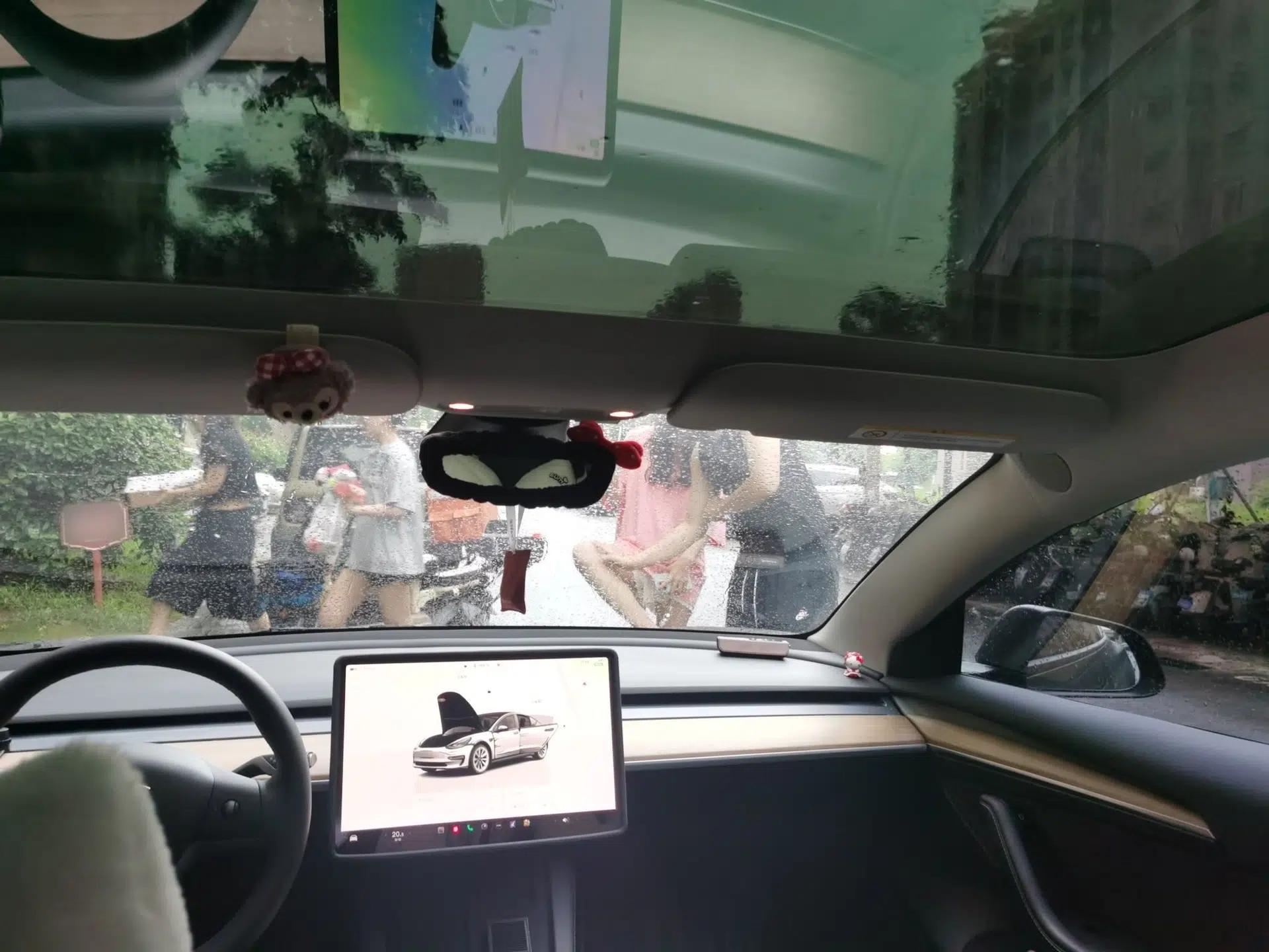 Tesla Model 3 2022 Rear-Wheel-Drive Version — миниатюра 15