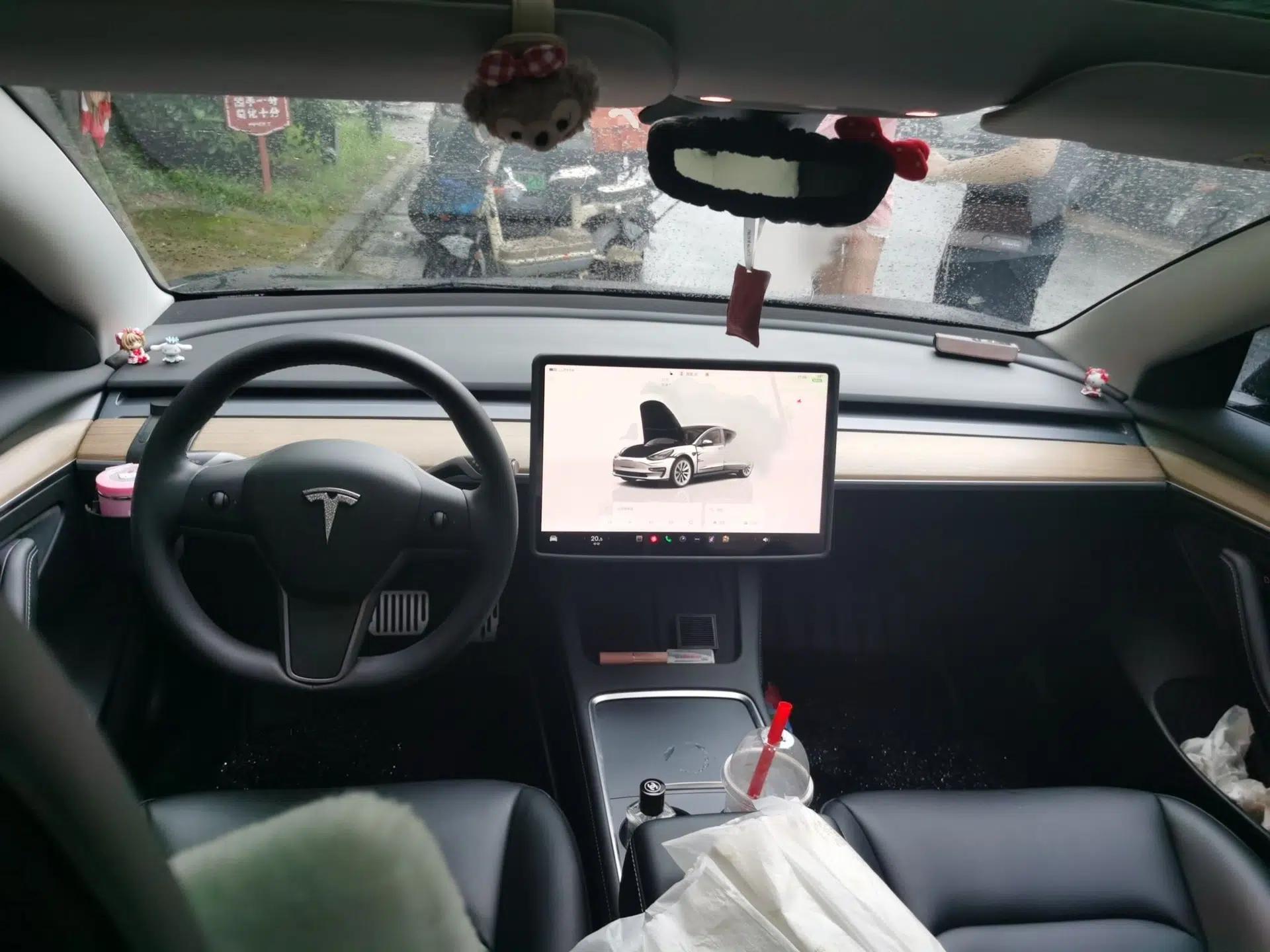 Tesla Model 3 2022 Rear-Wheel-Drive Version — миниатюра 18