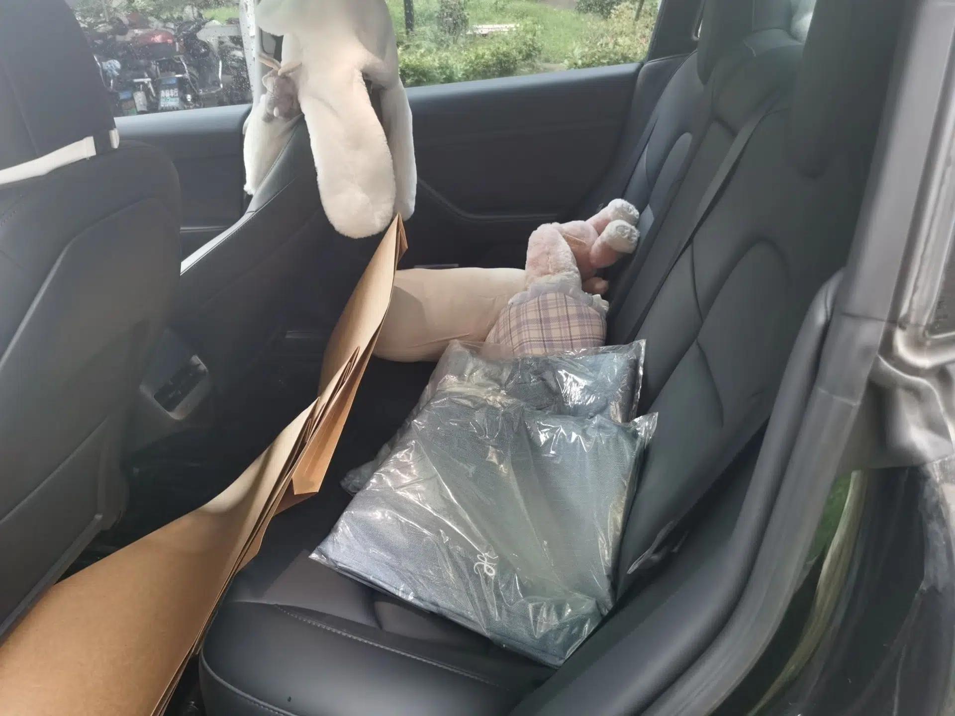 Tesla Model 3 2022 Rear-Wheel-Drive Version — миниатюра 20
