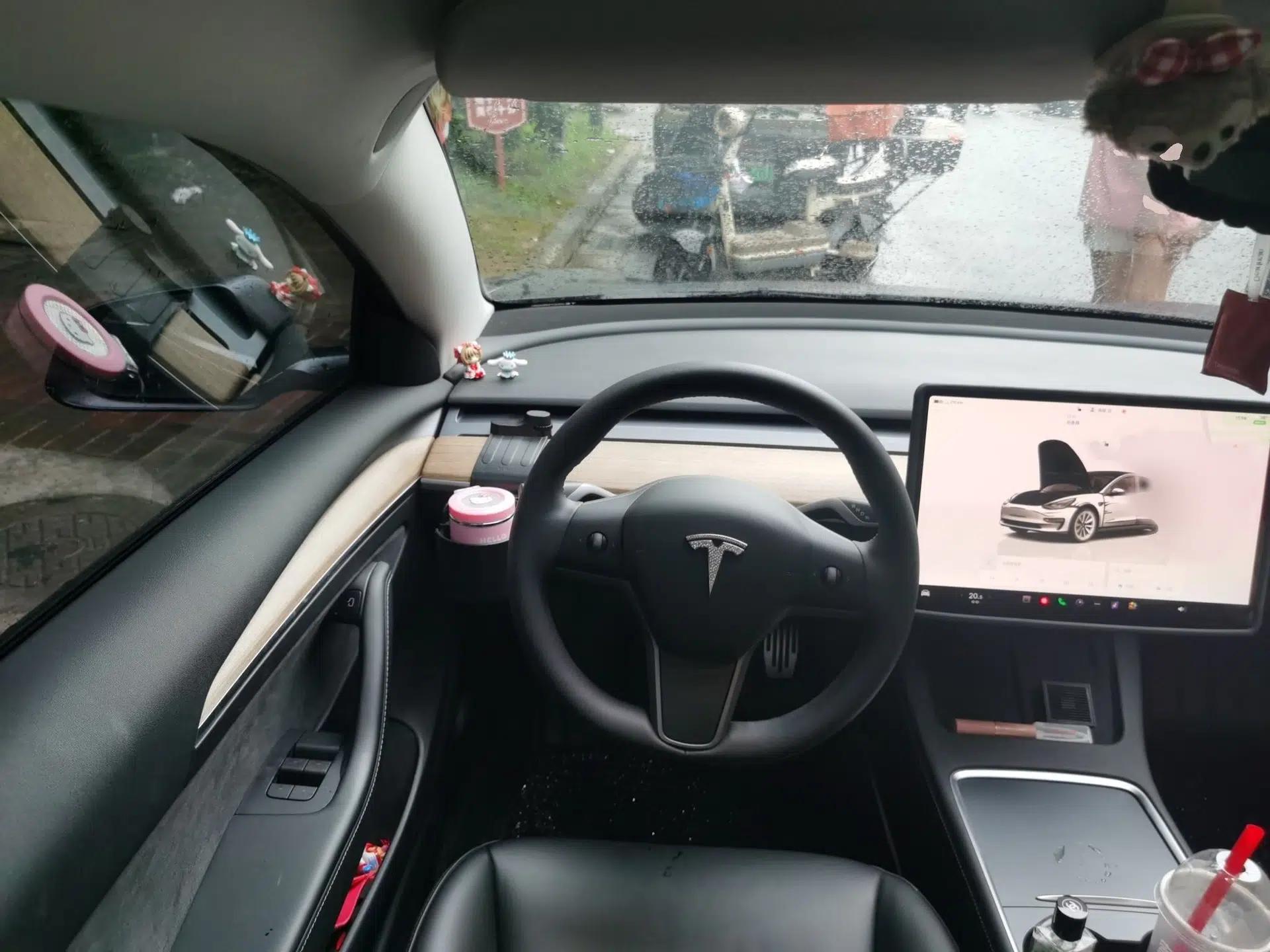 Tesla Model 3 2022 Rear-Wheel-Drive Version — миниатюра 9