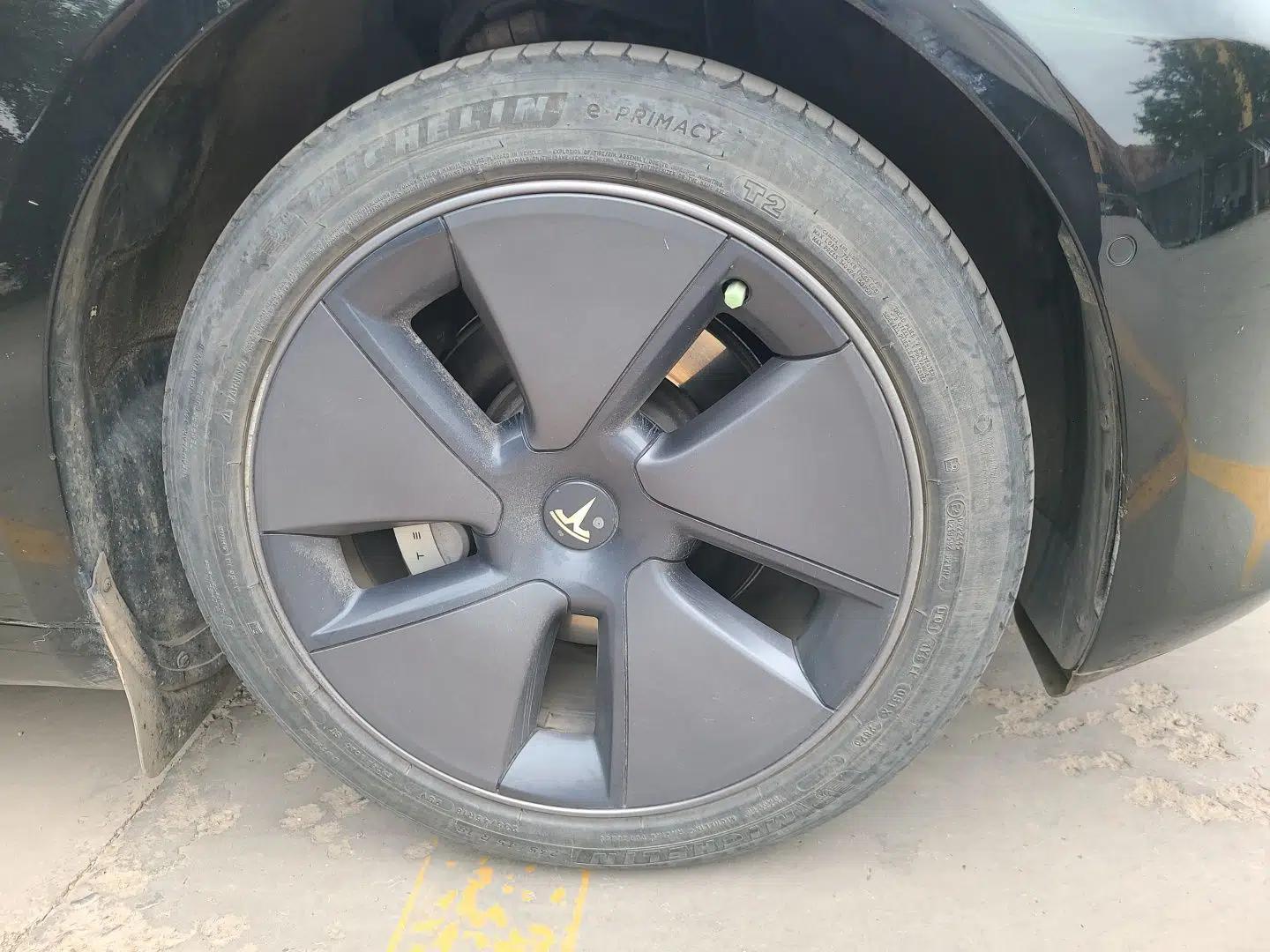 Tesla Model 3 2022 Rear-Wheel-Drive Version — миниатюра 8