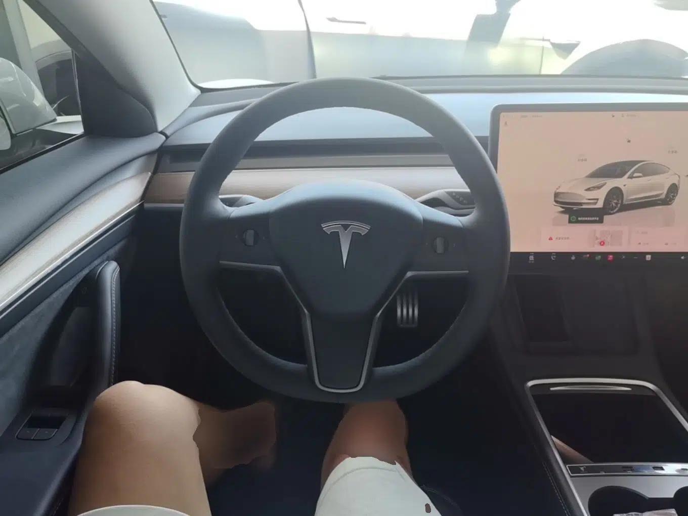 Tesla Model 3 2022 Performance High-Performance All-Wheel-Drive Version — миниатюра 18