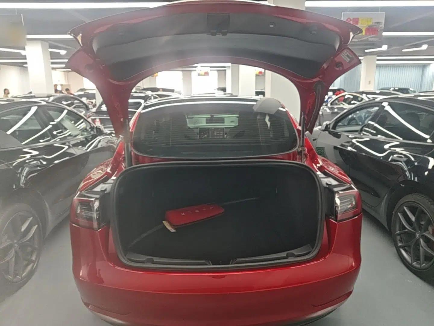 Tesla Model 3 2022 Performance High-Performance All-Wheel-Drive Version — миниатюра 27