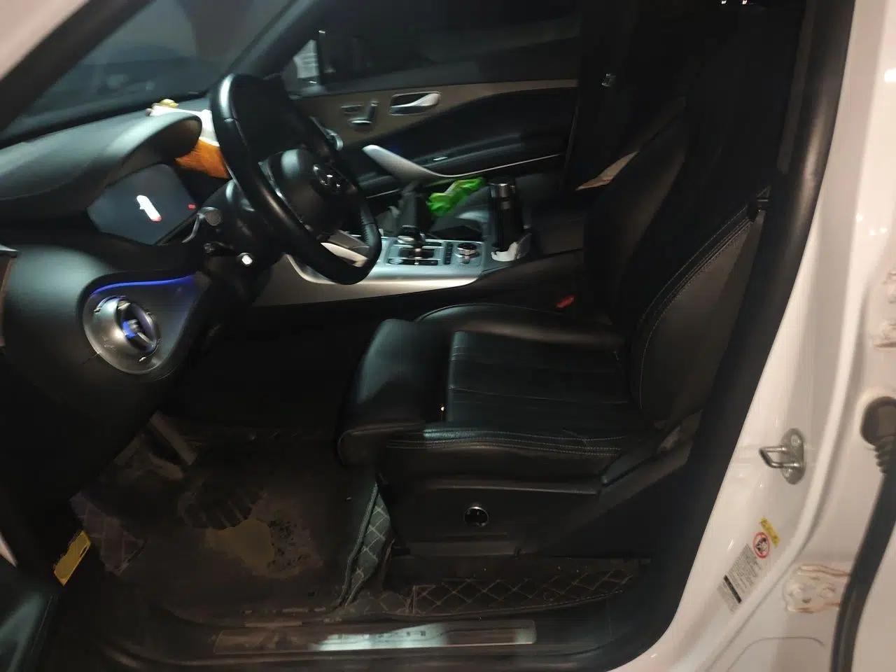 Denza X 2020 PHEV Flagship Edition — миниатюра 15