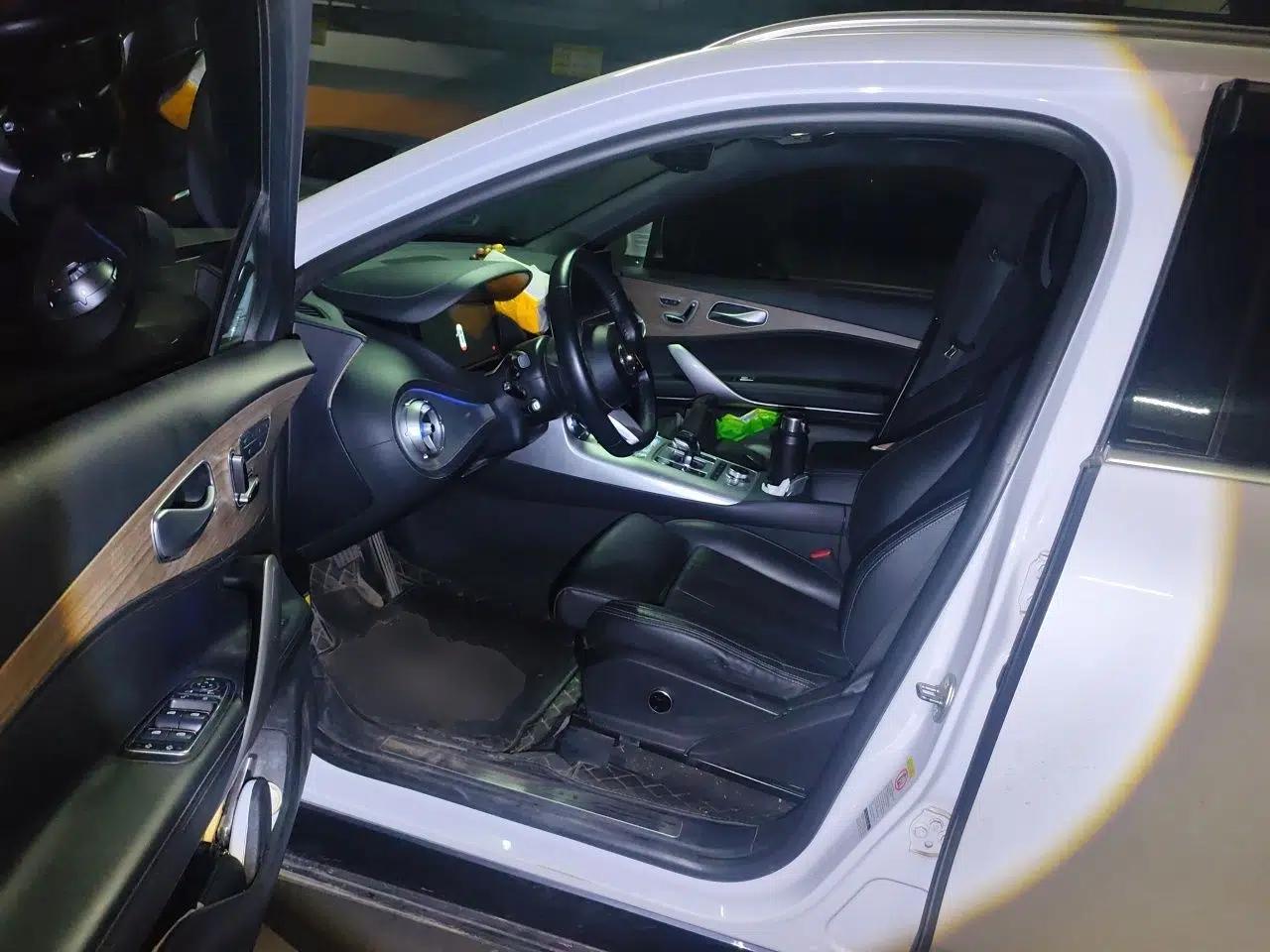Denza X 2020 PHEV Flagship Edition — миниатюра 16