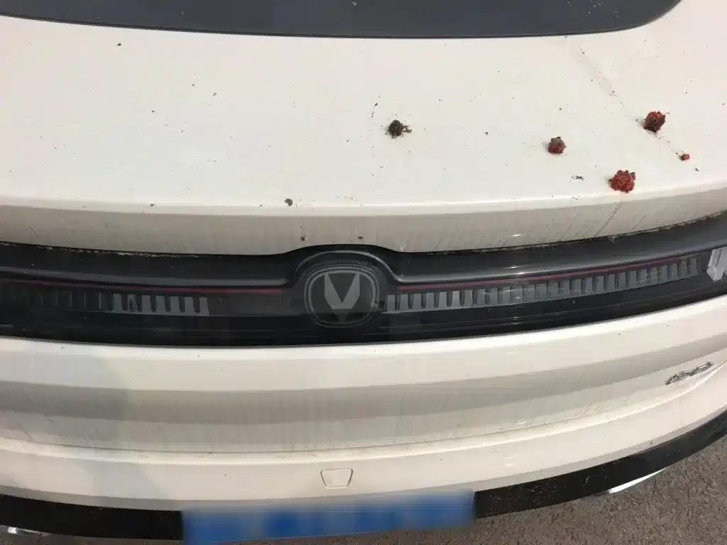 Changan Eado 2026, Fourth Generation, 1.5T 500Bar Enjoyable Edition — миниатюра 6