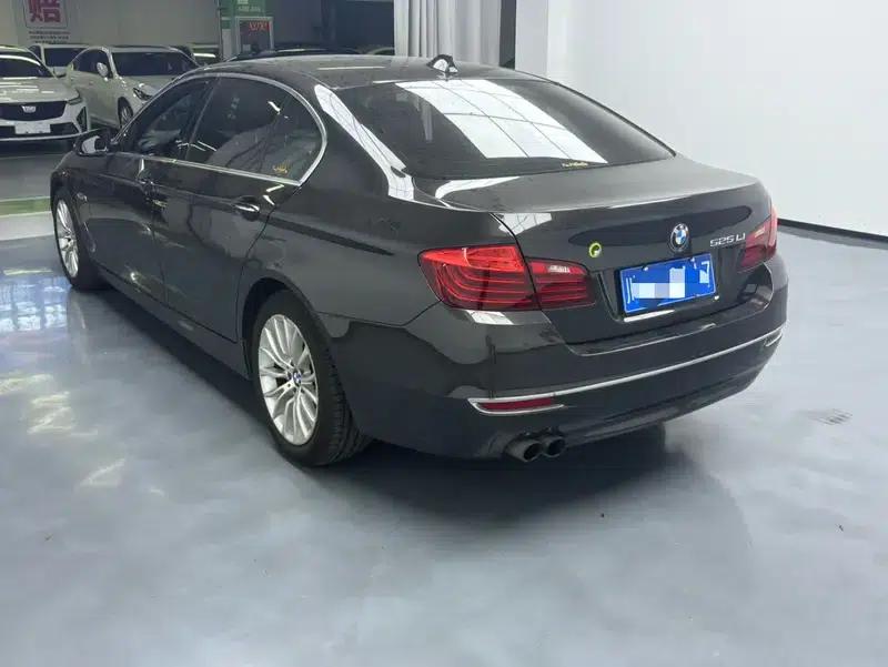 2014 BMW 5 Series 525Li Luxury Design Package — миниатюра 4