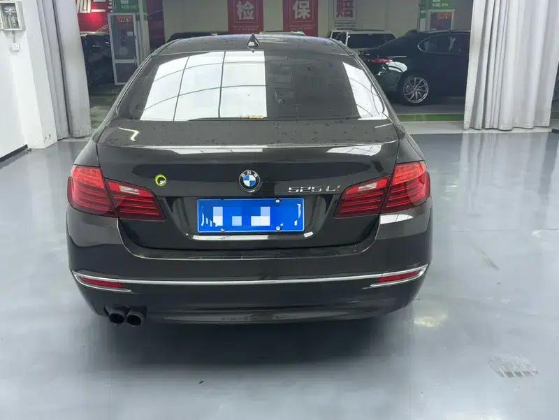 2014 BMW 5 Series 525Li Luxury Design Package — миниатюра 5