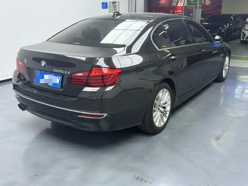 2014 BMW 5 Series 525Li Luxury Design Package — миниатюра 6
