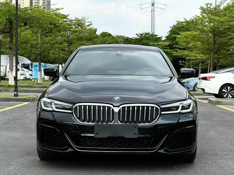 2021 BMW 5 Series Facelift 530Li Luxury M Sport Package — миниатюра 2