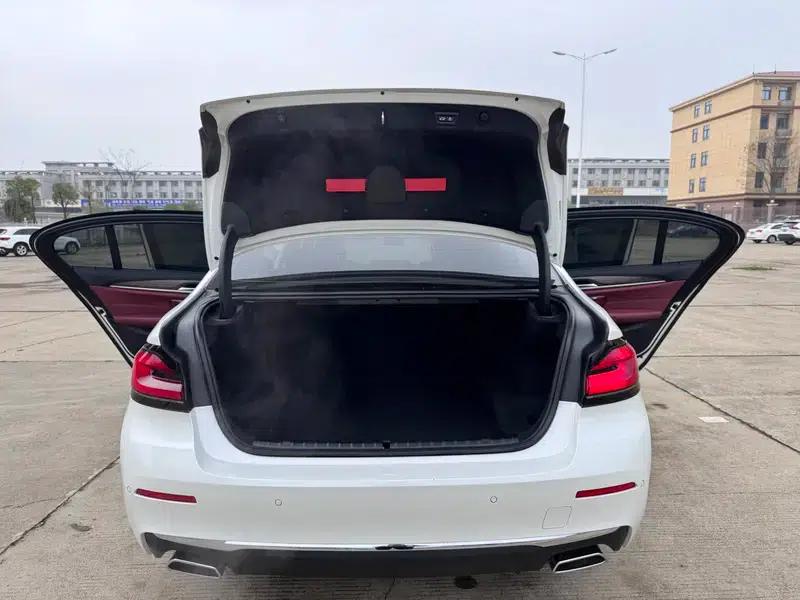 BMW 5 Series 2022 Facelift 530Li Leading Luxury Package — миниатюра 8
