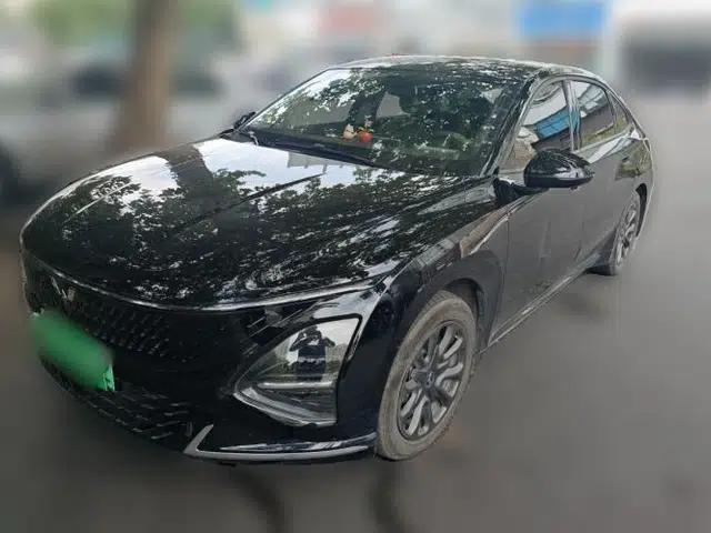 Wuling Xingguang 2025 70km Smart Standard Version