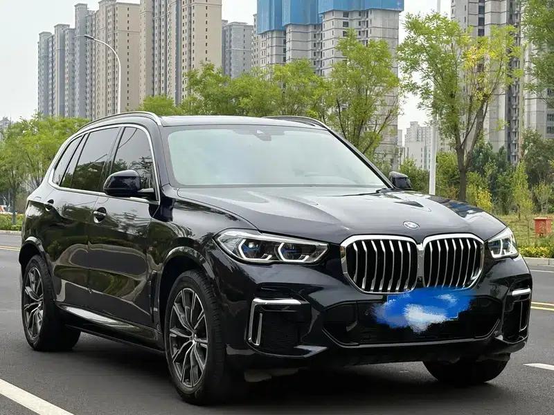 BMW X5 2022 xDrive 30Li Luxury M Sport Package — миниатюра 2