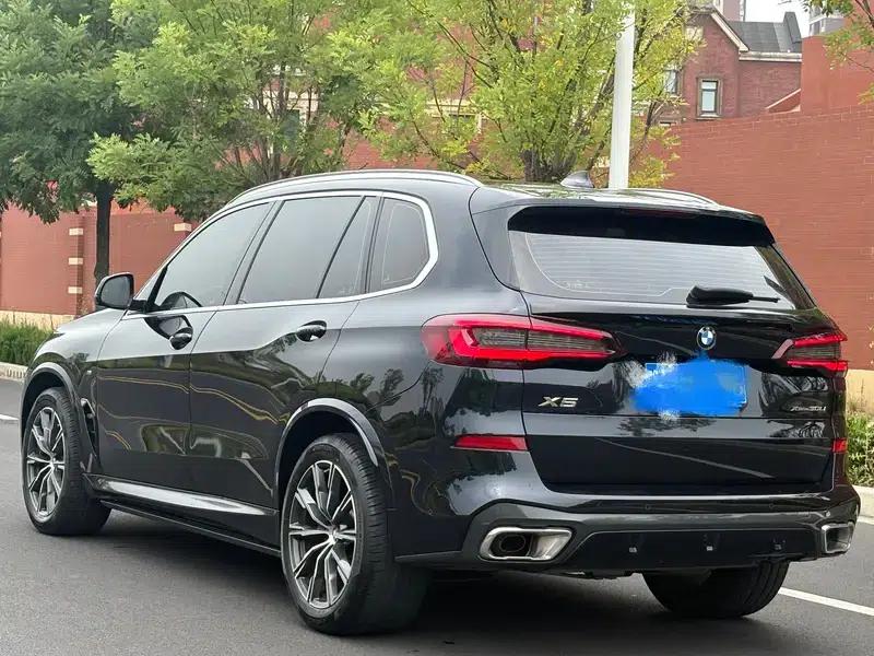 BMW X5 2022 xDrive 30Li Luxury M Sport Package — миниатюра 4