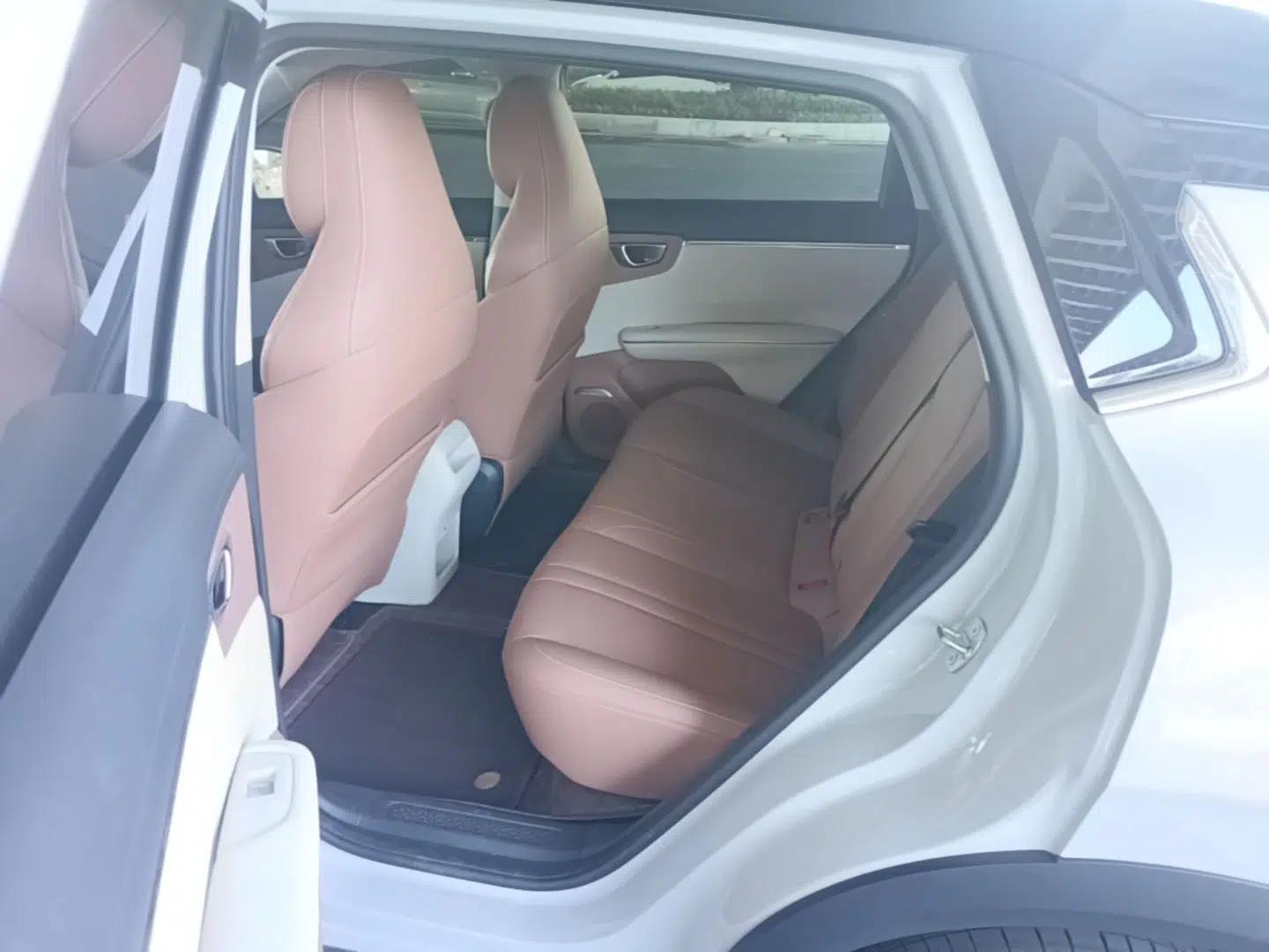 Wuling Bingo S 2025 Model 430km Flagship Edition — миниатюра 20