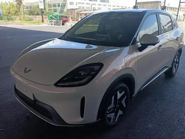 Wuling Bingo S 2025 Model 430km Flagship Edition