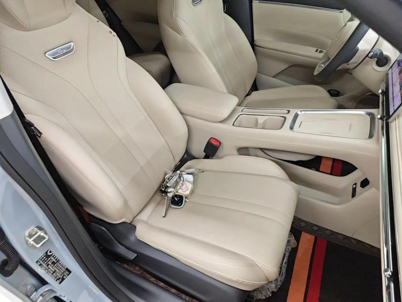 Wuling Bingo S 2025 Model 430km Flagship Edition — миниатюра 19