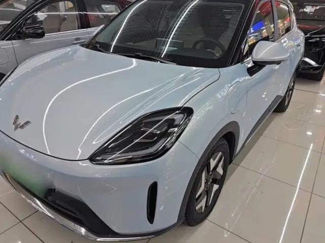 Wuling Bingo S 2025 Model 430km Flagship Edition