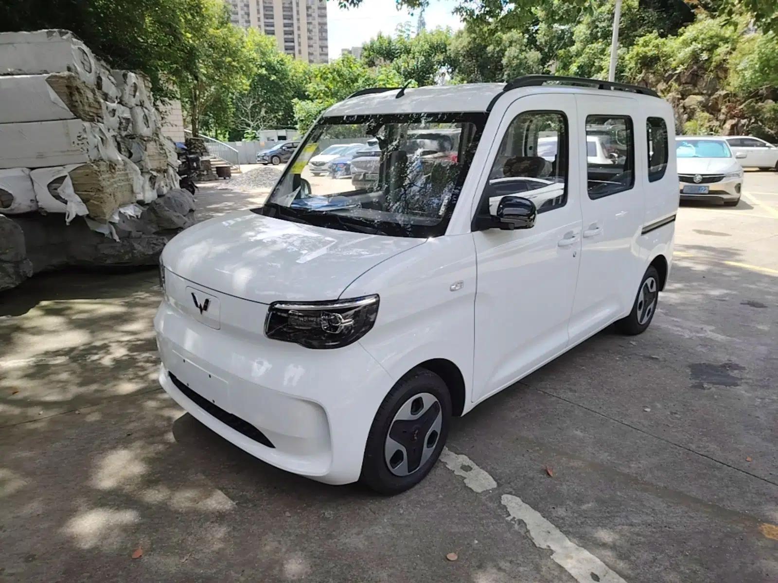 Wuling Zhiguang New Energy 2025 Model 305km Ambitious Edition — миниатюра 1