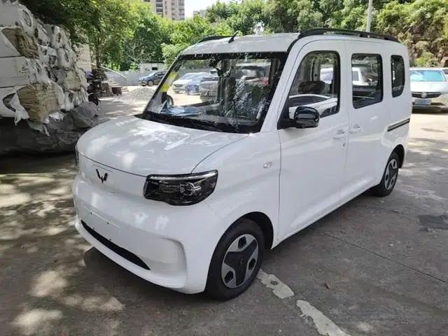 Wuling Zhiguang New Energy 2025 Model 305km Ambitious Edition