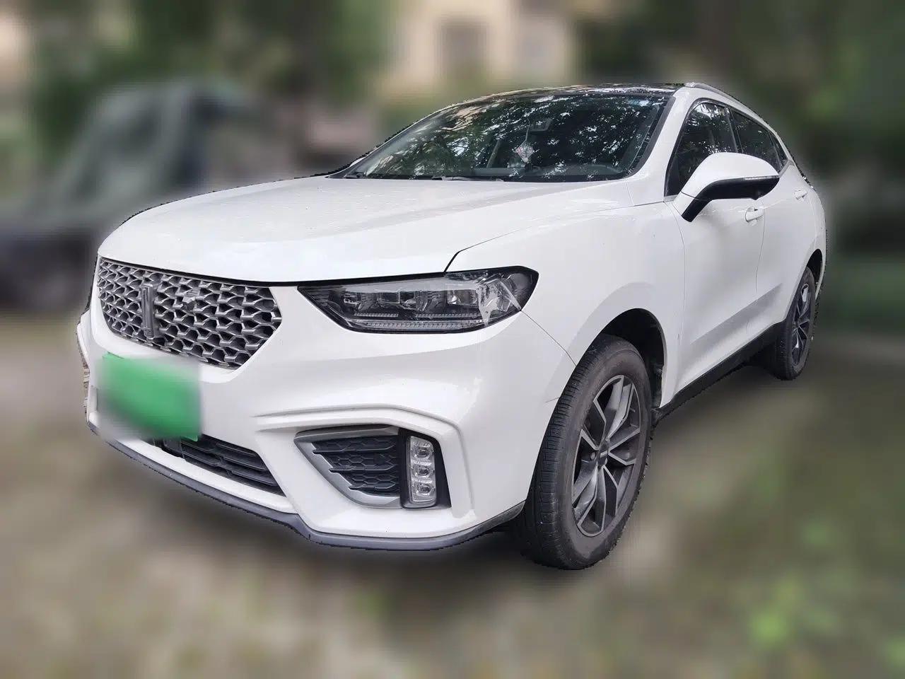 Wey VV5 2021 1.5T Two-Wheel Drive Color Pioneer — миниатюра 1