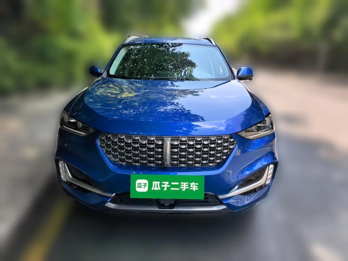 Wey VV6 2021 2.0T All-Wheel Drive Zhiyu+ — миниатюра 2