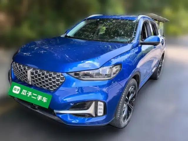 Wey VV6 2021 2.0T All-Wheel Drive Zhiyu+