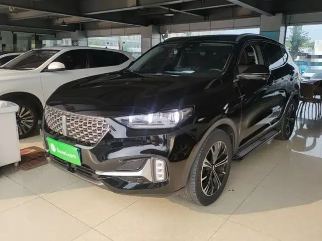 Wey VV6 2021 2.0T Two-Wheel Drive Smart Plus