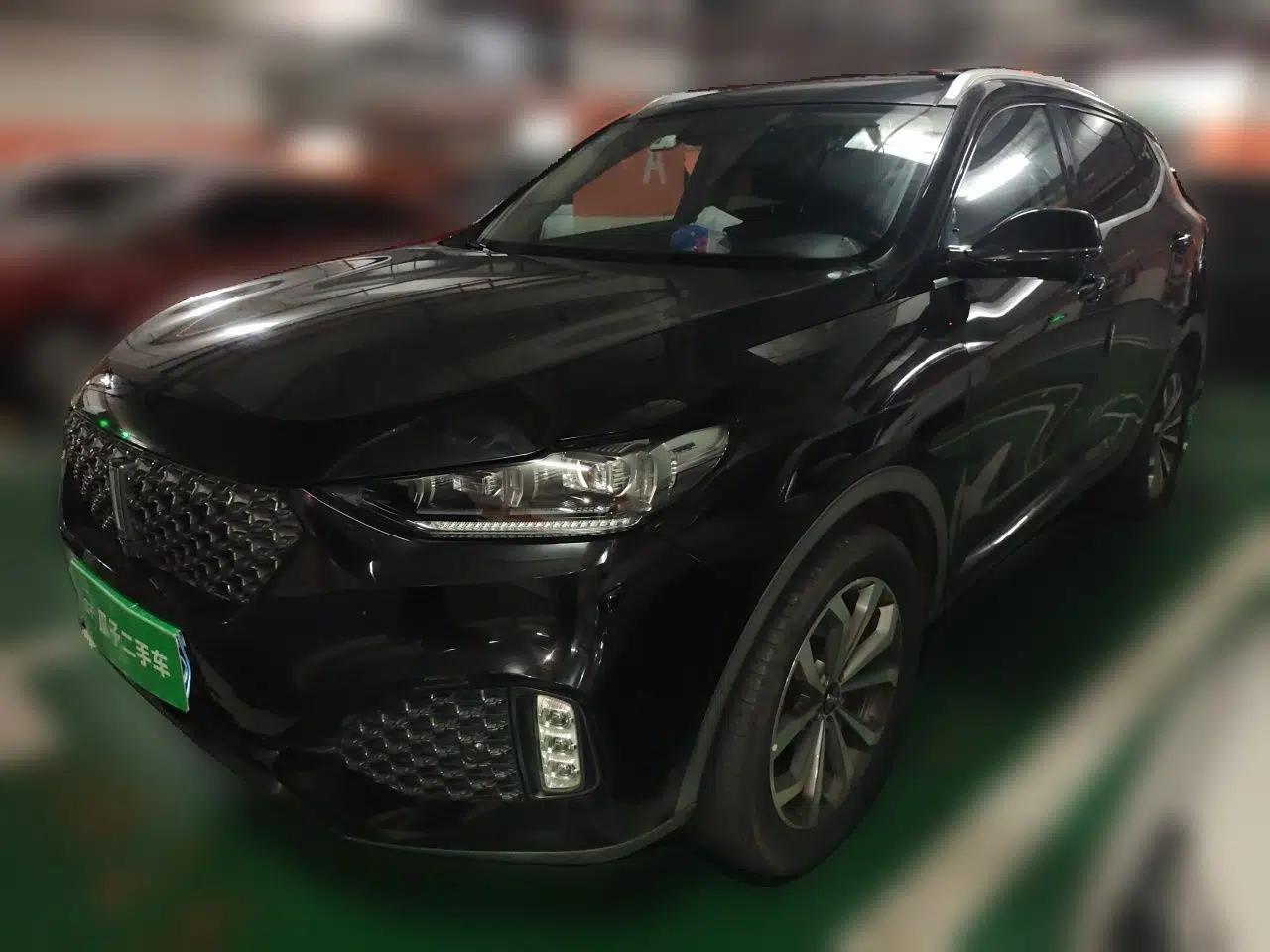 Wey VV6 2020 2.0T Two-Wheel Drive Smart Protection+ — миниатюра 1