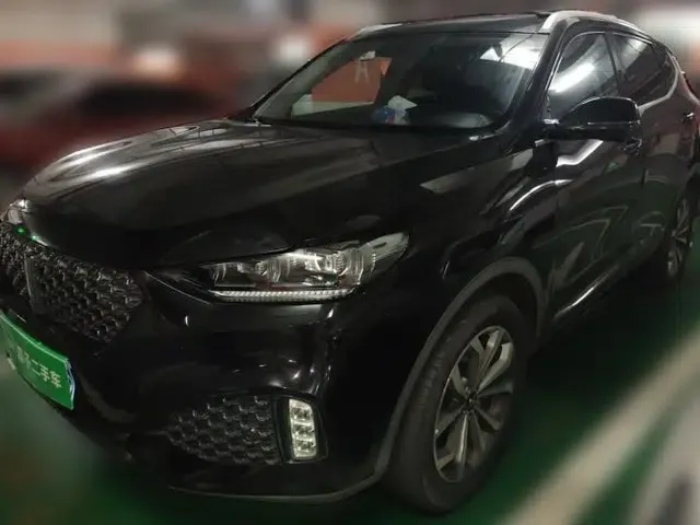 Wey VV6 2020 2.0T Two-Wheel Drive Smart Protection+