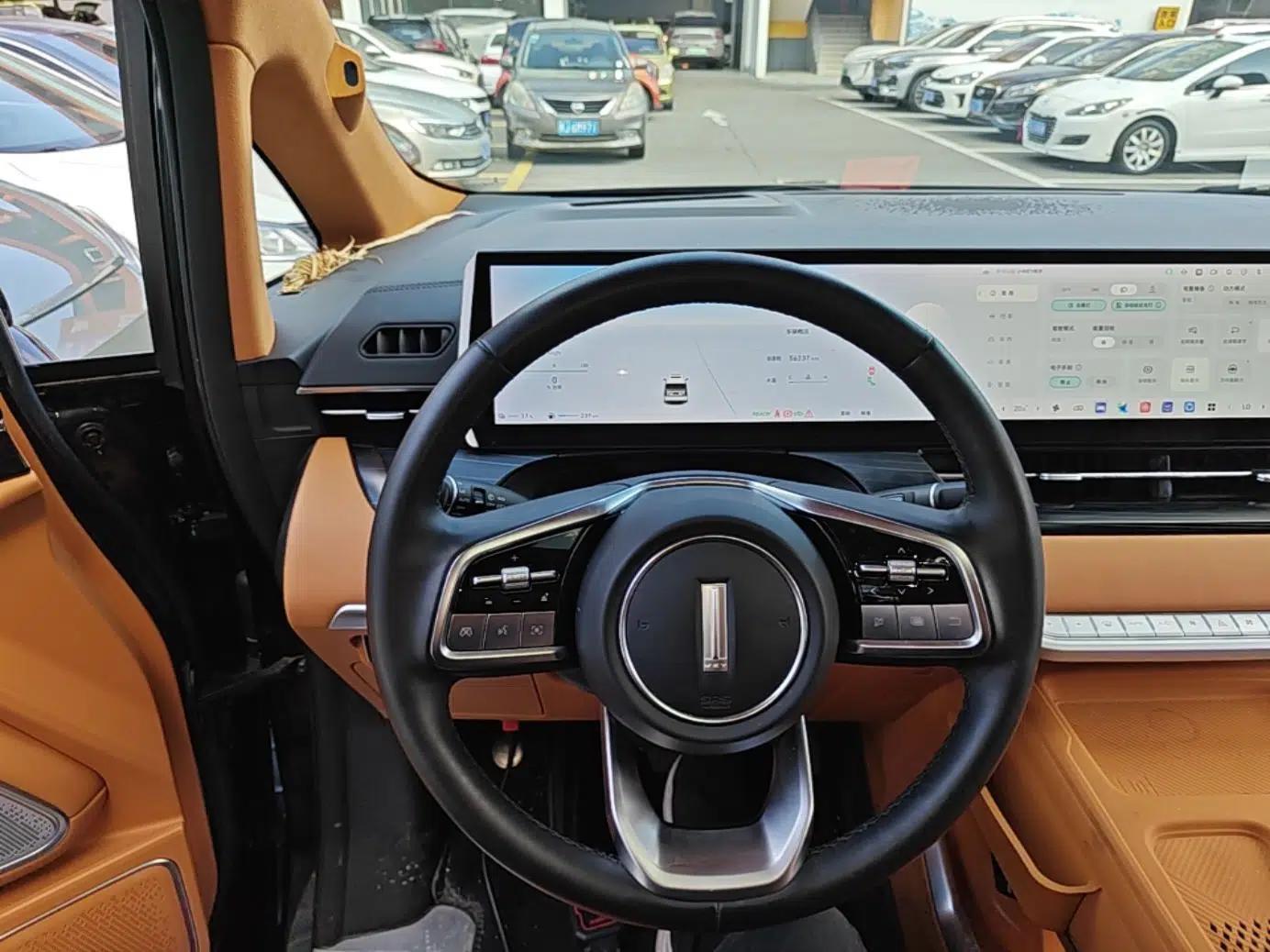 Wey Gaoshan 2023 Four-Wheel-Drive Executive Extended Version — миниатюра 13
