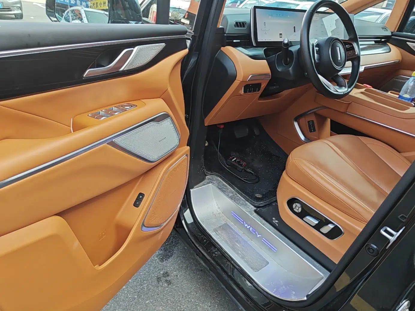 Wey Gaoshan 2023 Four-Wheel-Drive Executive Extended Version — миниатюра 18