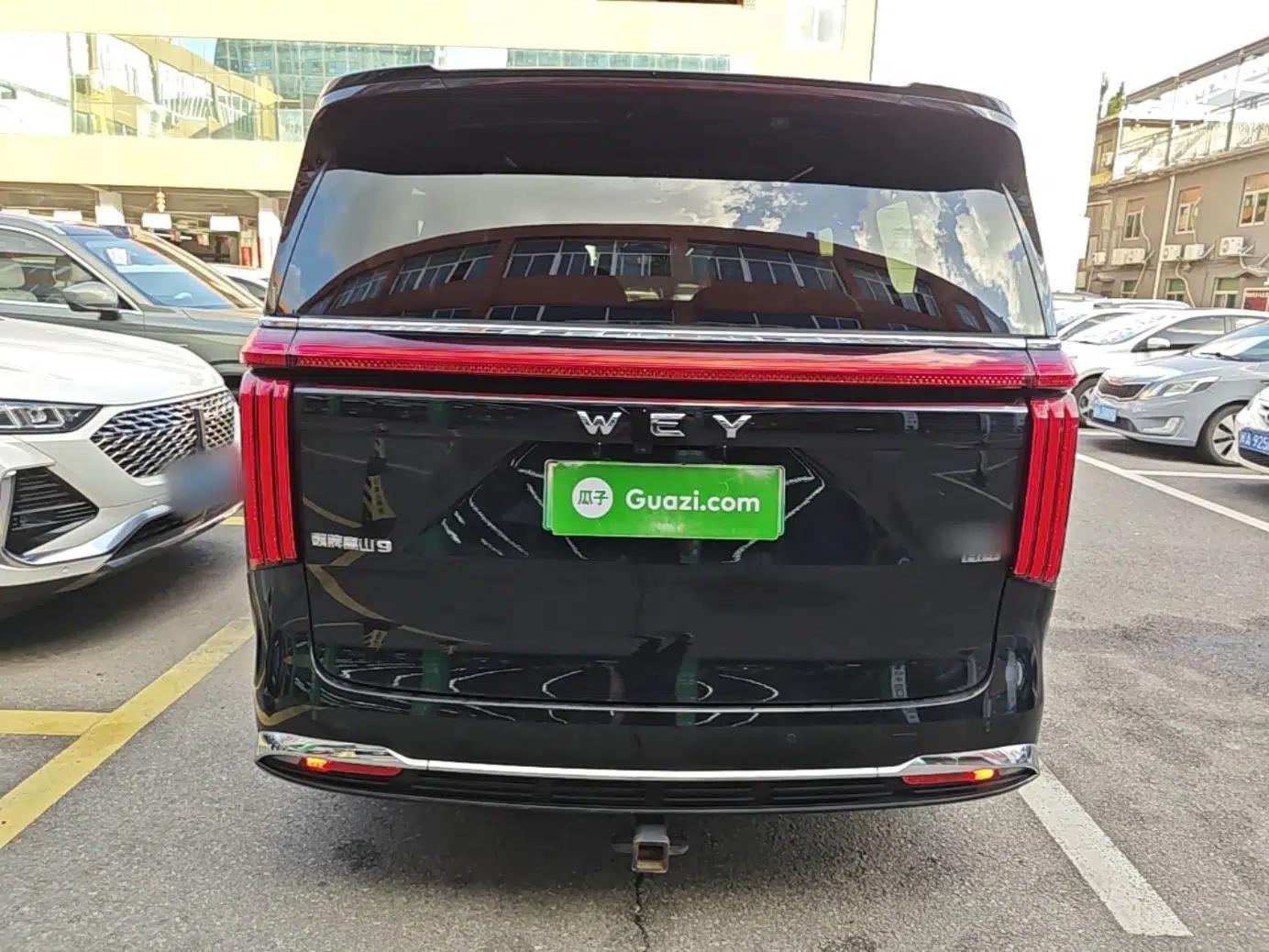 Wey Gaoshan 2023 Four-Wheel-Drive Executive Extended Version — миниатюра 5