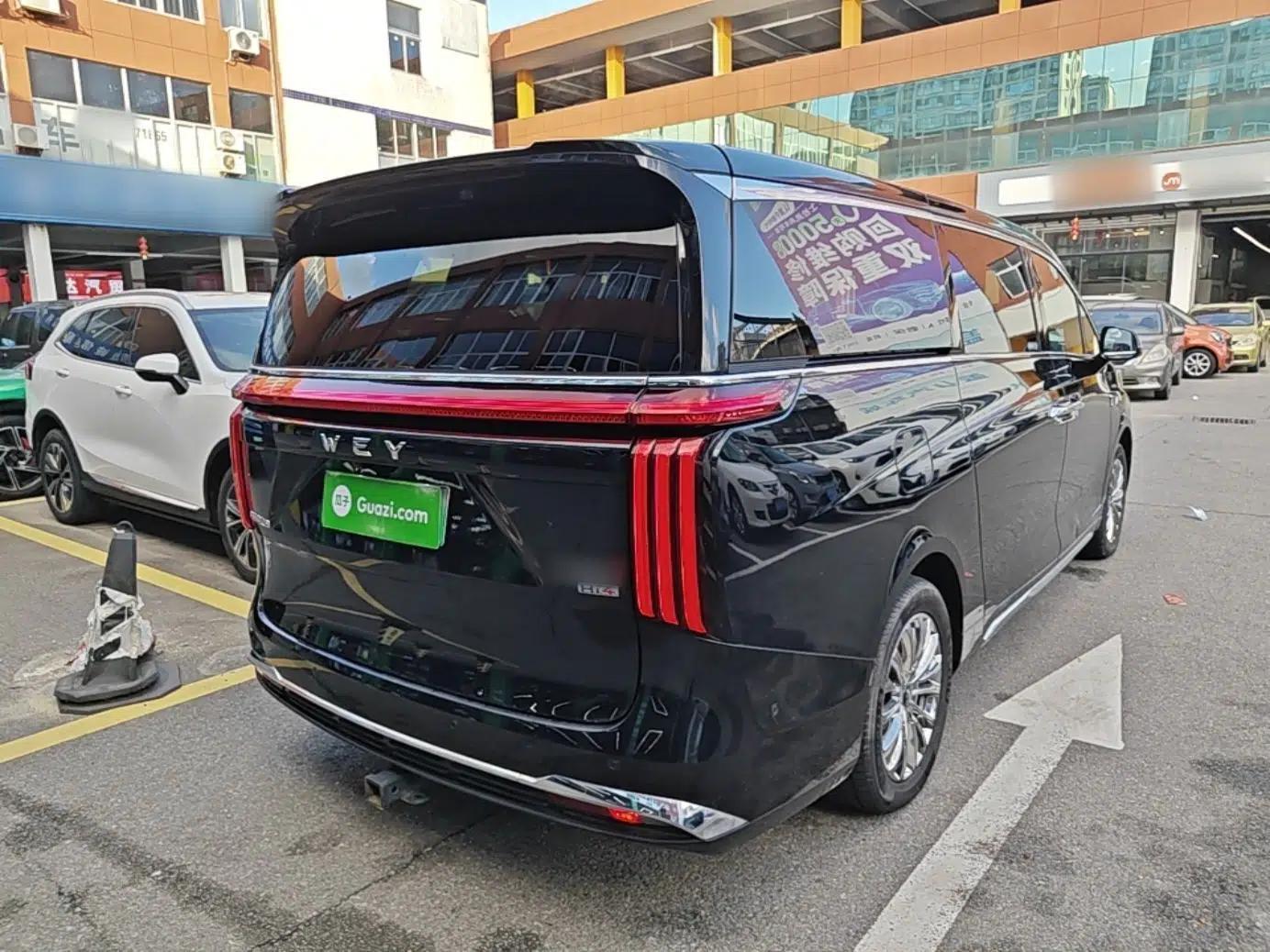 Wey Gaoshan 2023 Four-Wheel-Drive Executive Extended Version — миниатюра 6