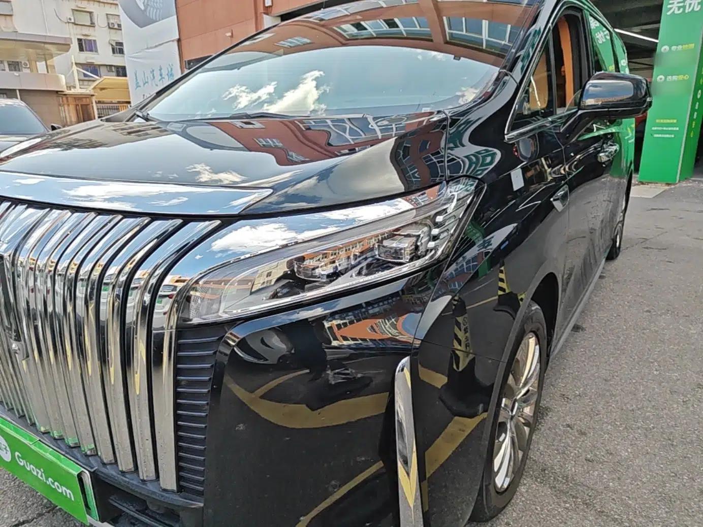 Wey Gaoshan 2023 Four-Wheel-Drive Executive Extended Version — миниатюра 8