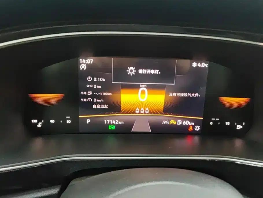 Tharu 2025 New Elite 300TSI Elite Edition — миниатюра 14