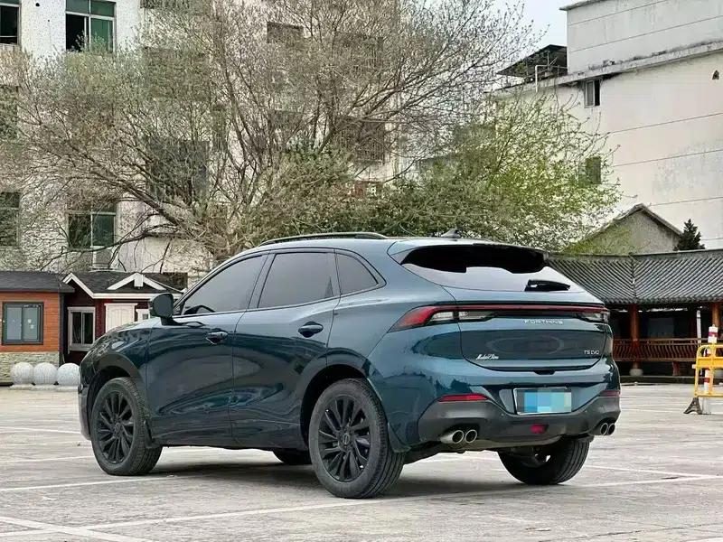 Fengxing T5 EVO 2021 1.5TD DCT Diamond Edition — миниатюра 4
