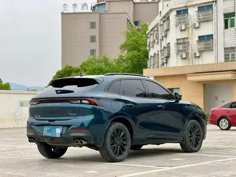 Fengxing T5 EVO 2021 1.5TD DCT Diamond Edition — миниатюра 6