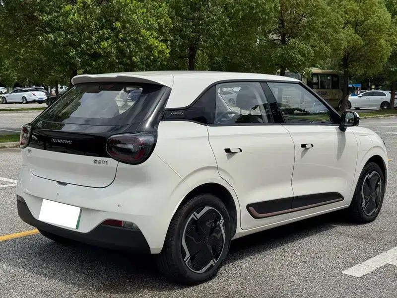Nano 01 2024 New Edition 330 Plus Smart+ — миниатюра 13