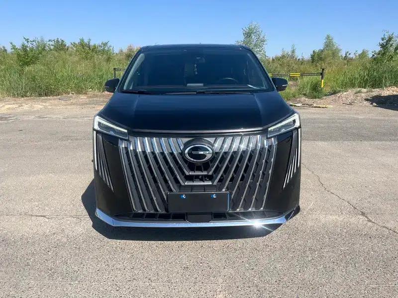 Trumpchi M8 2023 Master Series 2.0TGDI Supreme Edition — миниатюра 2