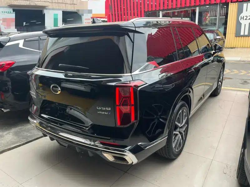 Trumpchi GS8 2022 Dual Engine Series 2.0TM Hybrid 2WD Premium Edition 7-Seater — миниатюра 6