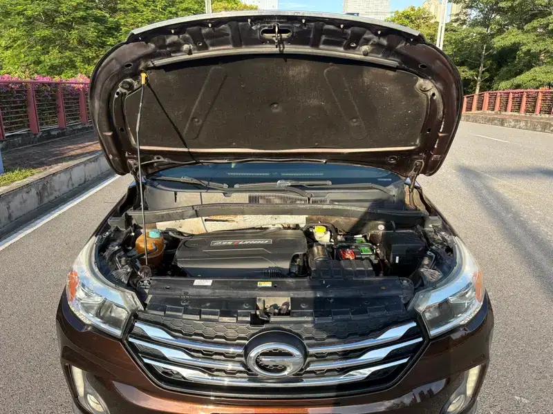 Trumpchi GS4 2016 235T G-DCT Luxury Edition — миниатюра 8