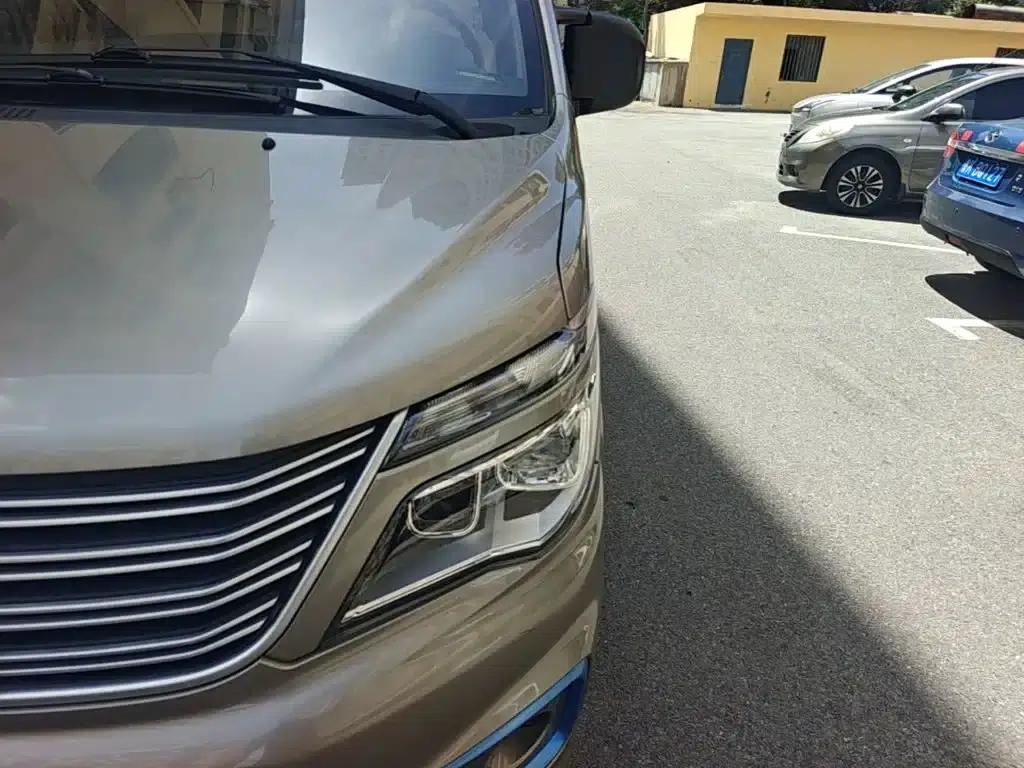 Lingzhi New Energy 2020 Comfort 7-seater — миниатюра 24