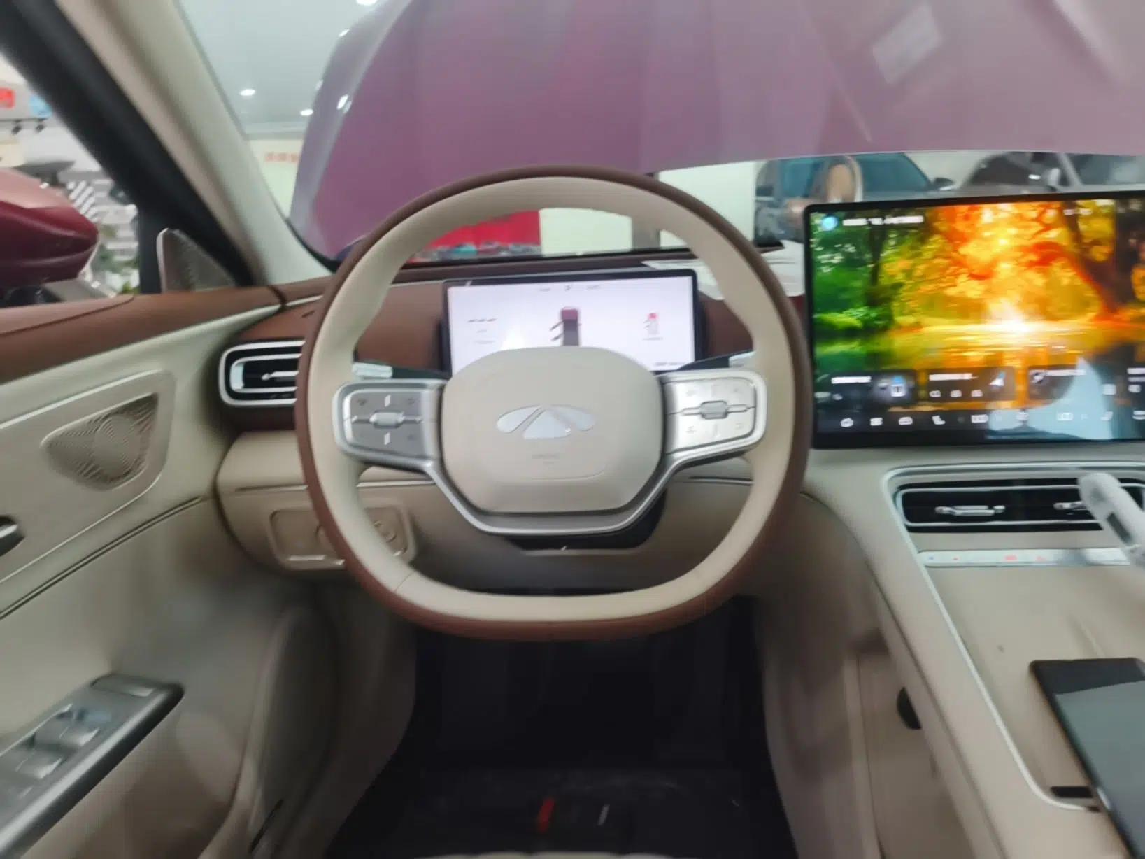 Chery Fengyun Fulwin A9L 2025 Model, 260 Ultra-Long Range Prestige Edition — миниатюра 13