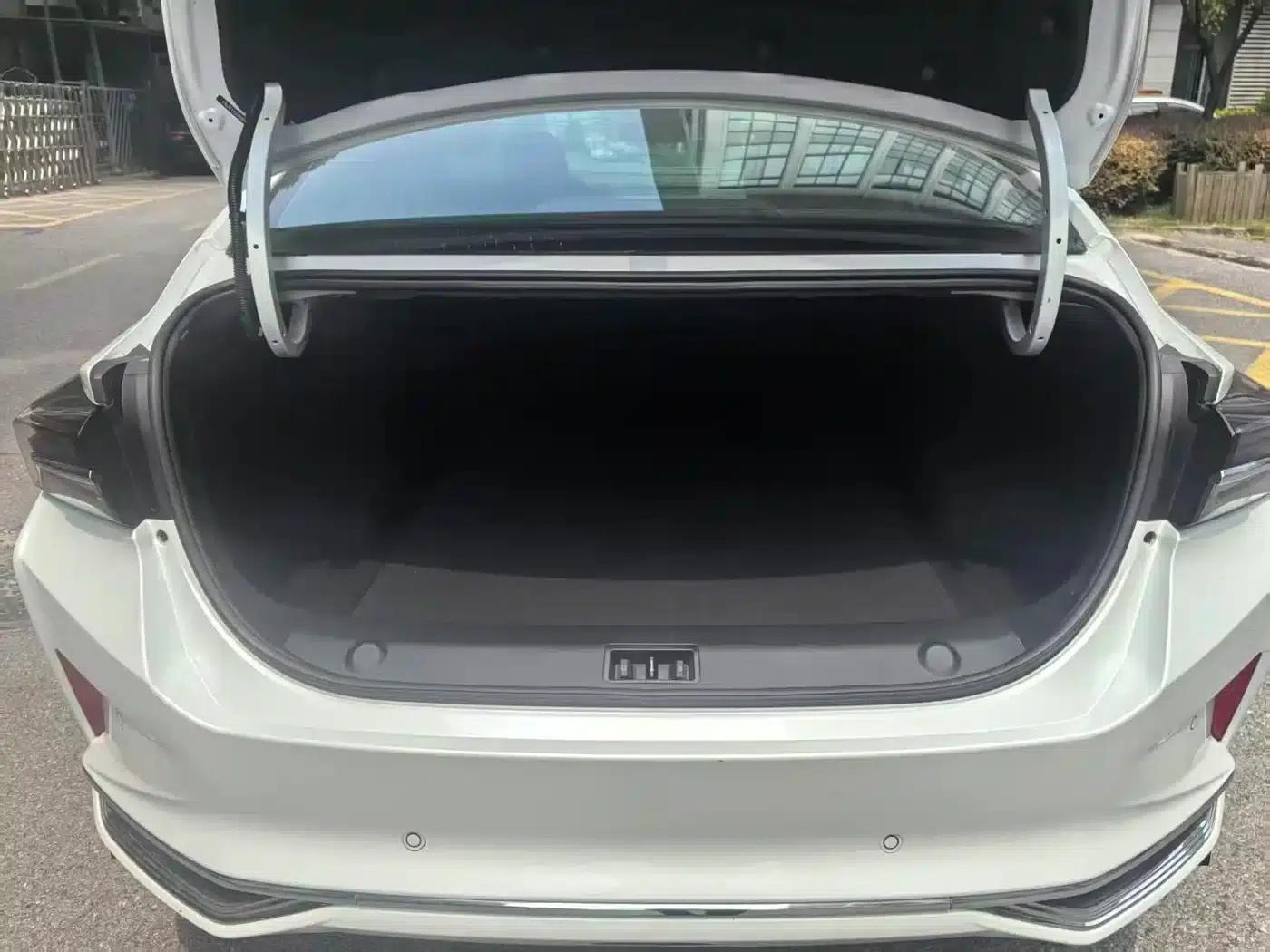 Aeolus Aeolus MAX 2021 1.5T Super Stylish Dad Edition — миниатюра 22