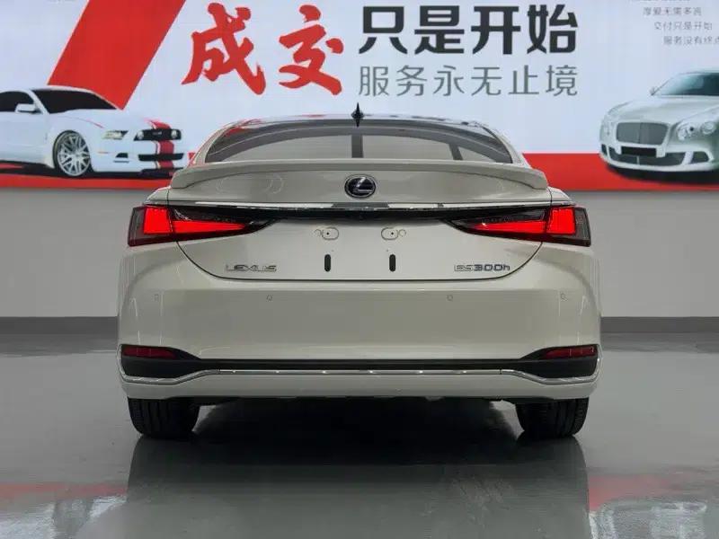 Lexus ES 2020 300h Premium Edition (China V Emission Standard) — миниатюра 5