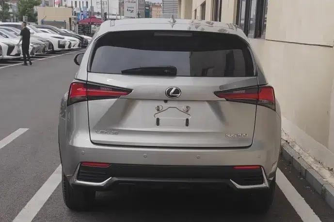 Lexus NX 2020 200 FWD Sport Edition (China VI Emission Standard) — миниатюра 8