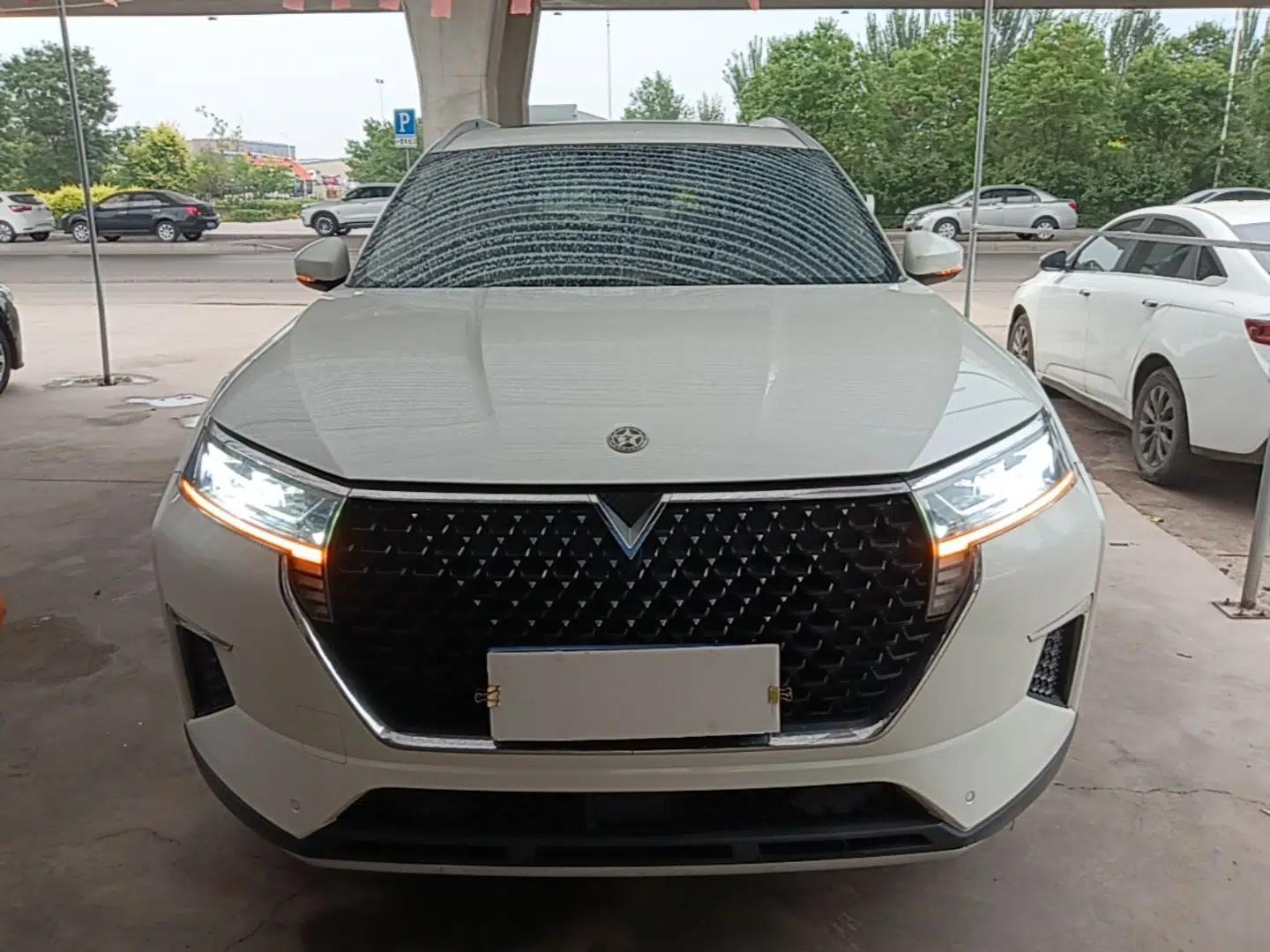 Venucia Star 2021 260T Automatic 48V Mild Hybrid Turbocharged Star Achieve Edition — миниатюра 2